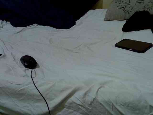 Petitepretti webcam