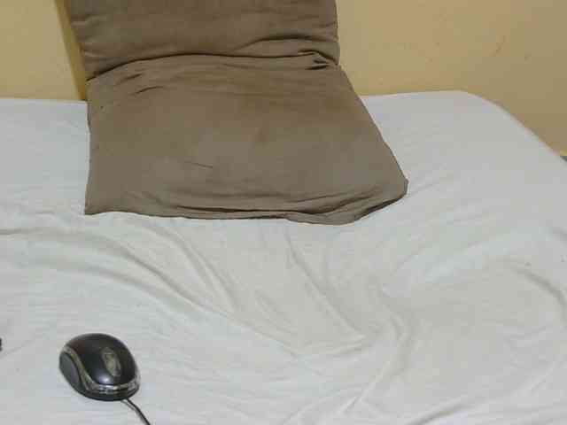Petitepretti webcam