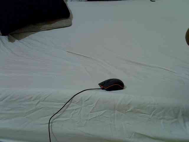 Petitepretti webcam