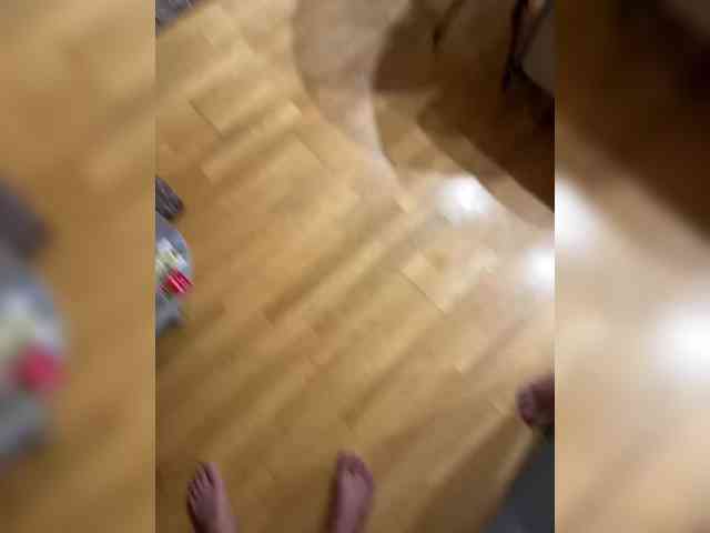 VipPara webcam
