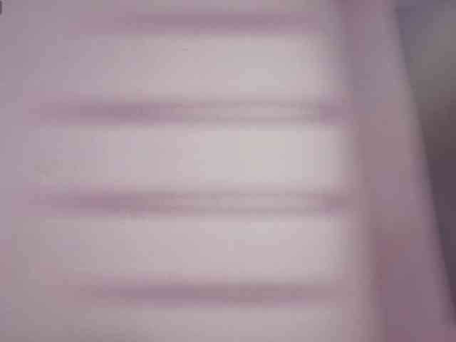 Lexieblacke webcam