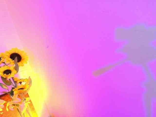 Lexieblacke webcam