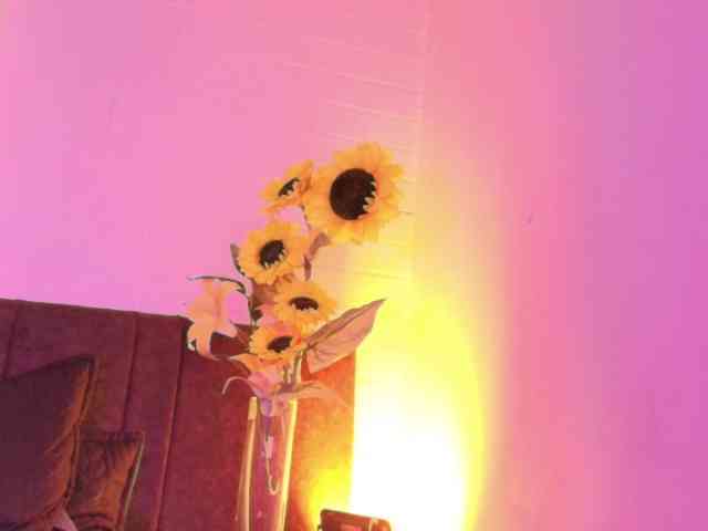 Lexieblacke webcam