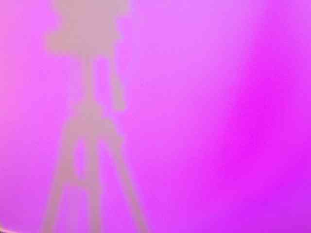 Lexieblacke webcam