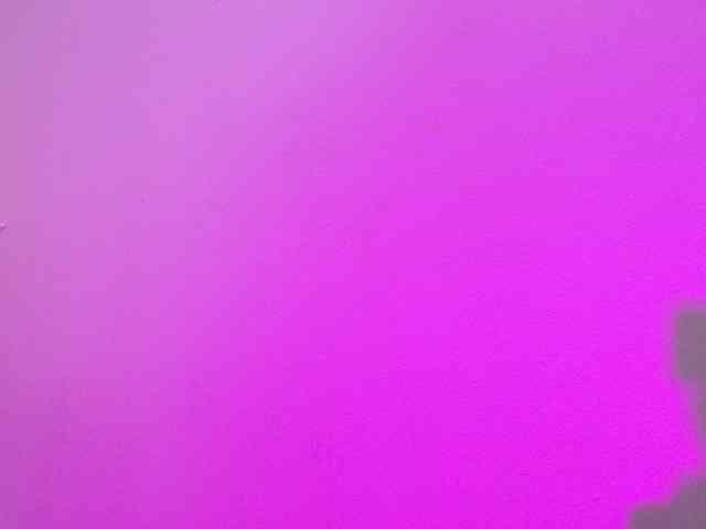 Lexieblacke webcam