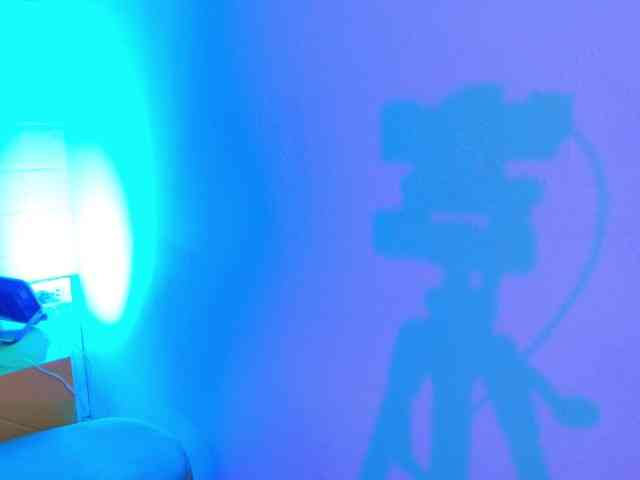 Lexieblacke webcam
