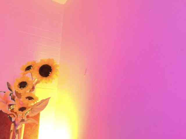 Lexieblacke webcam