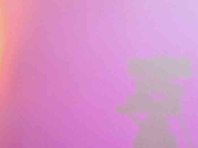Lexieblacke webcam