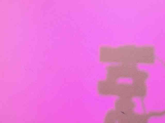 Lexieblacke webcam