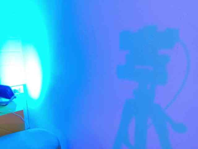 Lexieblacke webcam