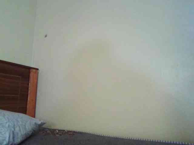 NaughtyWhispers webcam