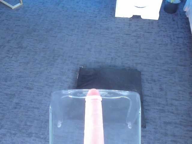 Clara4w live cam on BongaCams