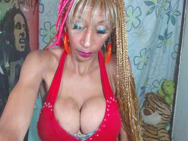 Starunivers webcam