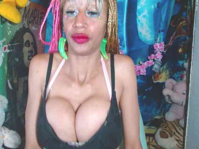 Starunivers webcam