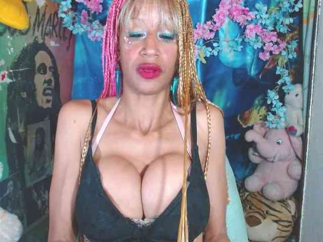 Starunivers webcam