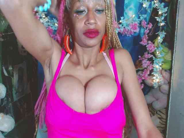Modelo: Starunivers