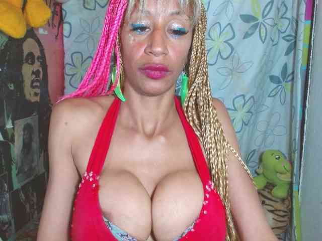 Starunivers webcam