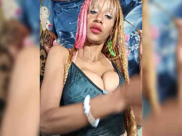 Model: Starunivers