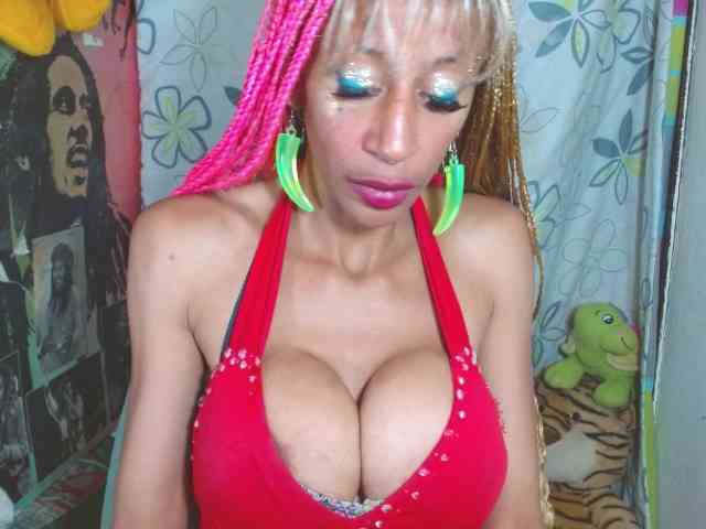 Starunivers webcam