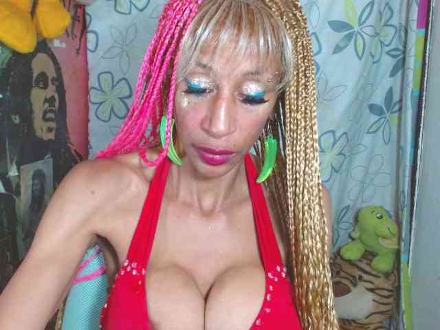 Starunivers webcam