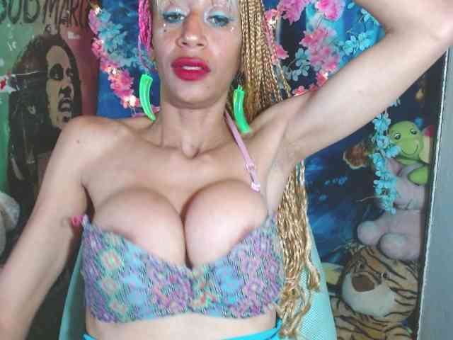Starunivers webcam