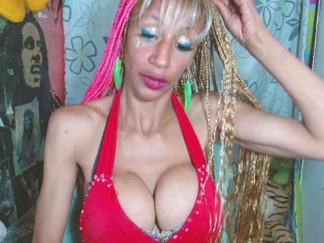 Starunivers webcam