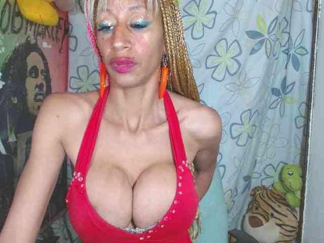 Starunivers webcam