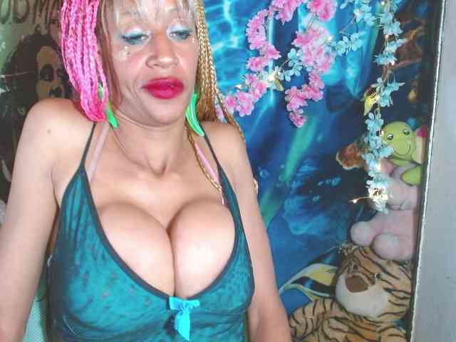 Starunivers webcam