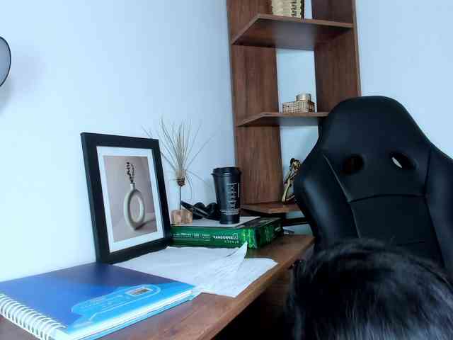 Aslii-smith webcam