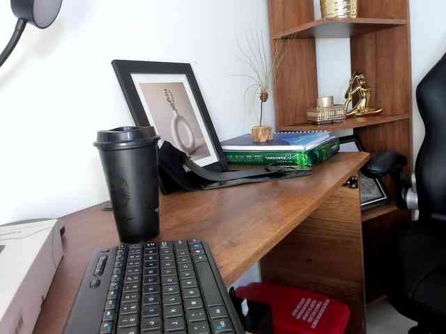 Aslii-smith webcam