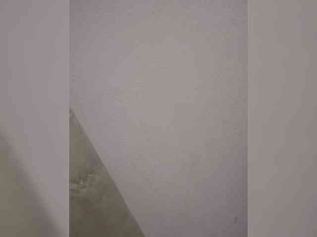 Silvanarose webcam