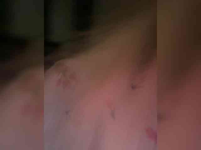 Lerek webcam