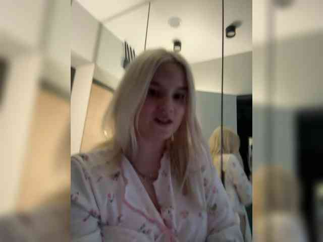 Lerek webcam