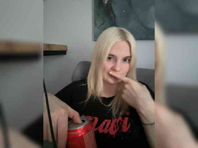 Lerek webcam
