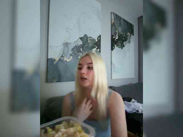 Lerek webcam