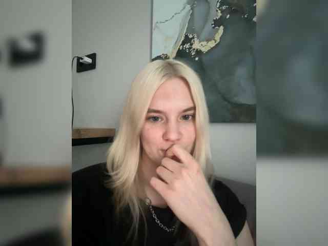 Lerek webcam