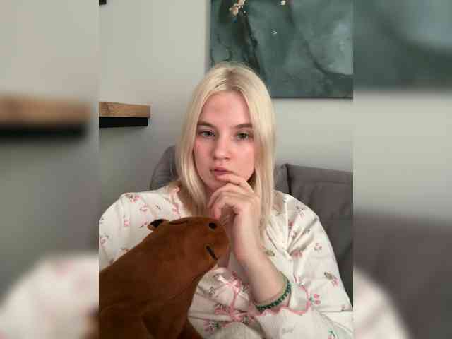 Lerek webcam
