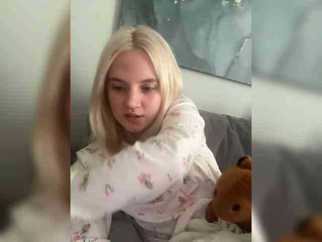 Lerek webcam