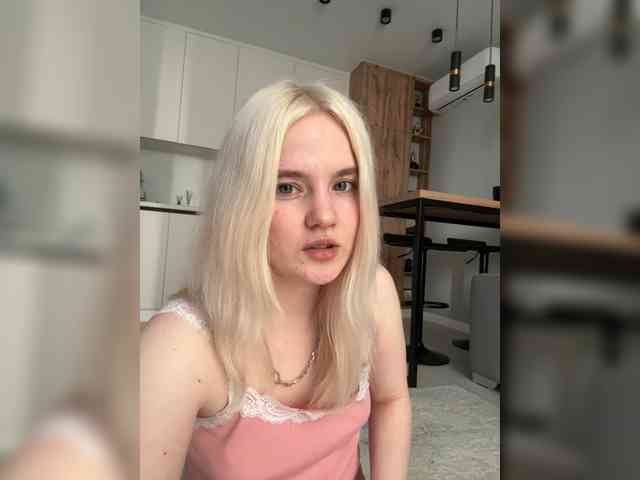 Lerek webcam