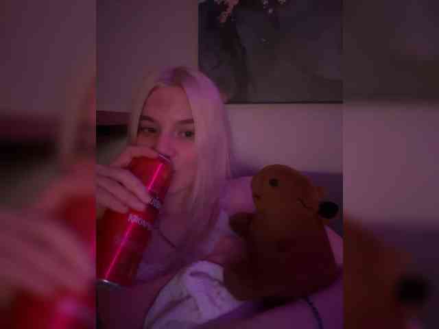 Lerek webcam