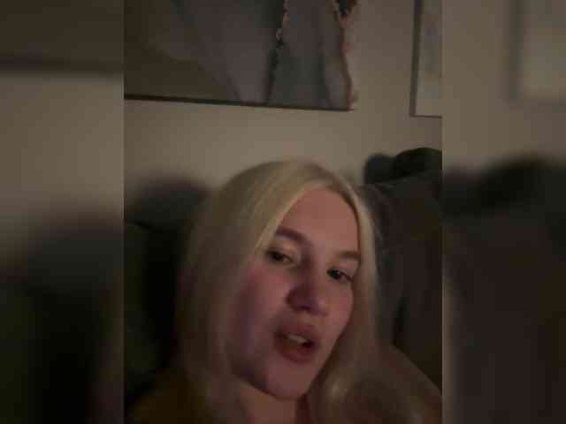 Lerek webcam