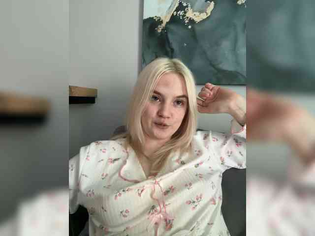 Lerek webcam