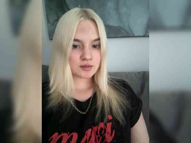 Lerek webcam