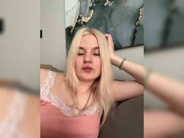 Lerek webcam