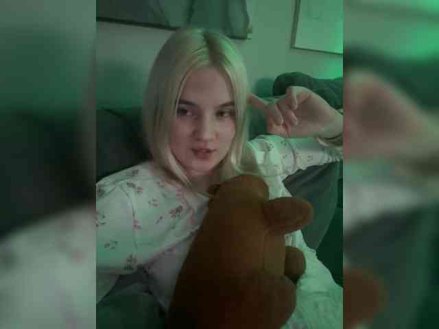Lerek webcam