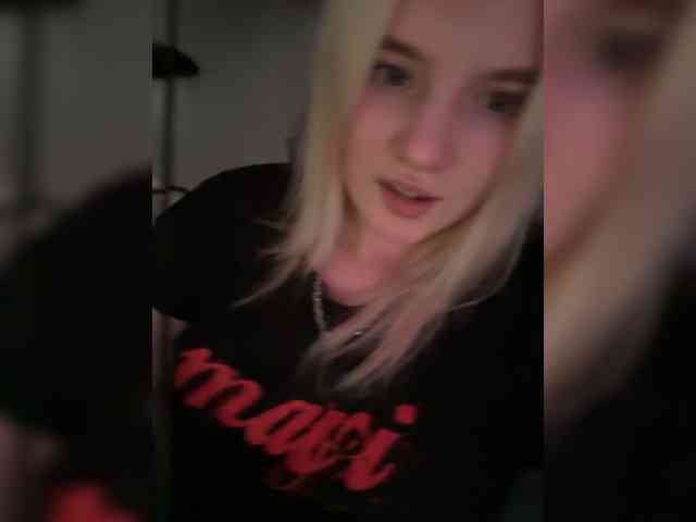 Lerek webcam