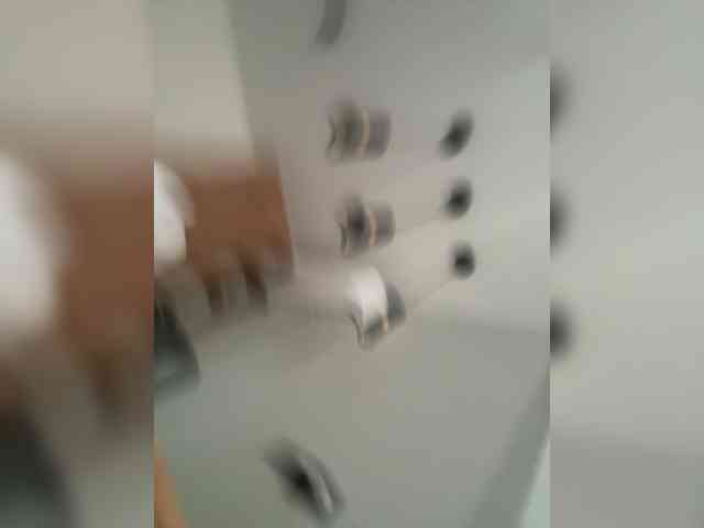 Lerek webcam