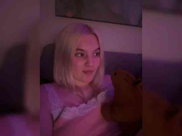 Lerek webcam