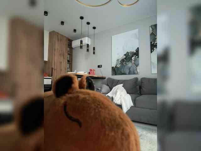 Lerek webcam