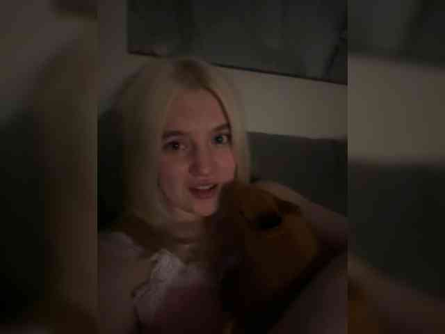 Lerek webcam